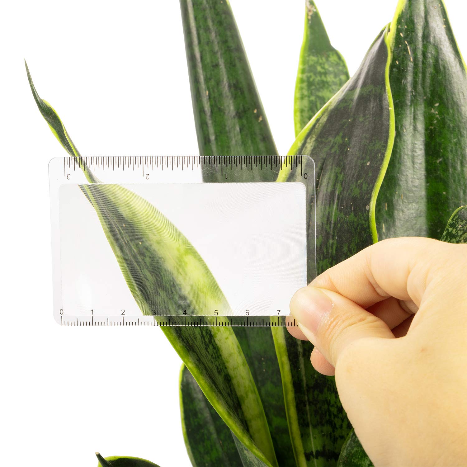 Frienda 20 Pcs Pocket Magnifying Glass Fresnel Lens Credit Card Pocket Magnifier Plastic Ruler Starting Fire Emergency Bushcraft Outdoor Survival Leisure for Classroom Home Office - Image 6